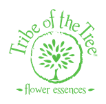 Tribe of the tree logo